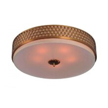 Divinare · Biscotto · 4005/01 PL-4