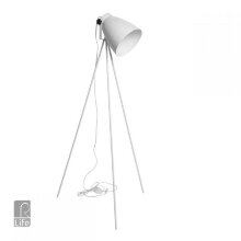 MW-Light · 497042801