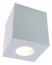 Divinare · Galopin · 1461/03 PL-1