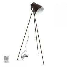 MW-Light · 497042901