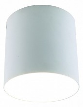 Divinare · Tubo · 1463/03 PL-1