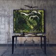  Odeon Light · Volo · 3993/1A