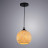 Arte Lamp · Mosaic · A8076SP-1BK