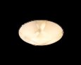  Globo Lighting · Jalua · 40391-2