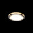 Maytoni · Phanton · DL303-L12B