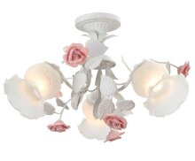 Lucia Tucci · Fiori di rose · Fiori di rose 114.3