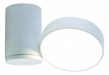 Divinare · Casa · 1486/03 PL-1