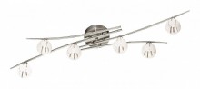 Потолочная люстра Odeon Light Kinston 2465/6C