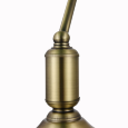  Maytoni · Kiwi · Z153-TL-01-BS · Настольная лампа