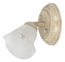 Спот MW-Light Адель 512020501