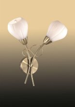Odeon Light · dovera · 2470/2W