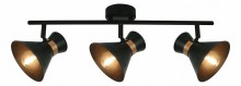 Arte Lamp · Baltimore · A1406PL-3BK