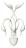 Lightstar · Сigno Collo · 751656