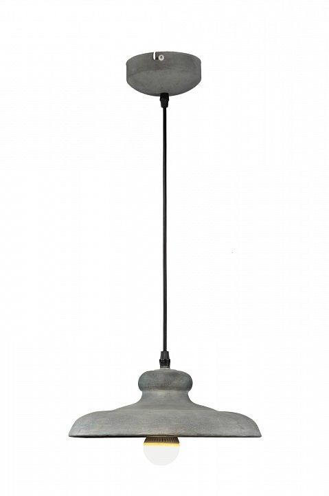 Arte Lamp · Loft · A5025SP-1BG
