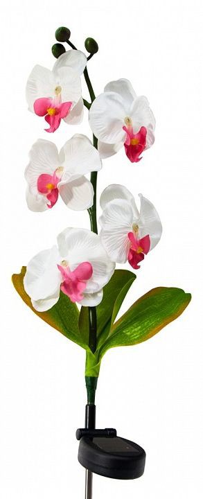  Цветок Орхидея Feron PL301 06258