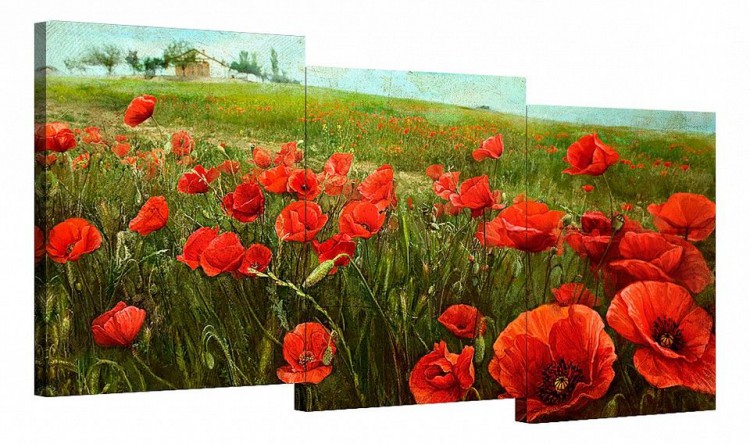  Набор из 3 панно Цветы Brilliant BT S-4140H (150 x 70 см)