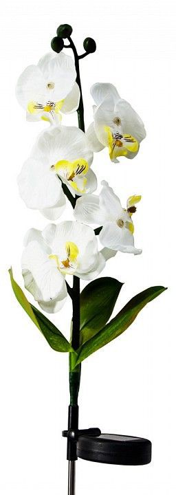  Цветок Орхидея Feron PL301 06259