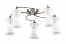 Потолочная люстра Odeon Light Rukba 2516/5C