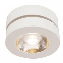Maytoni · Alivar · C022CL-L12W