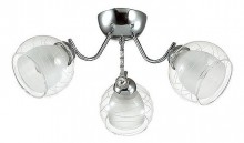 Люстра на штанге Lumion Brinna 3071/3C