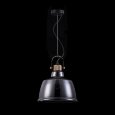  Maytoni · Irving · T163PL-01C