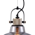  Maytoni · Irving · T163PL-01C