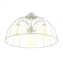 Lumion · Shelby · 3713/3C