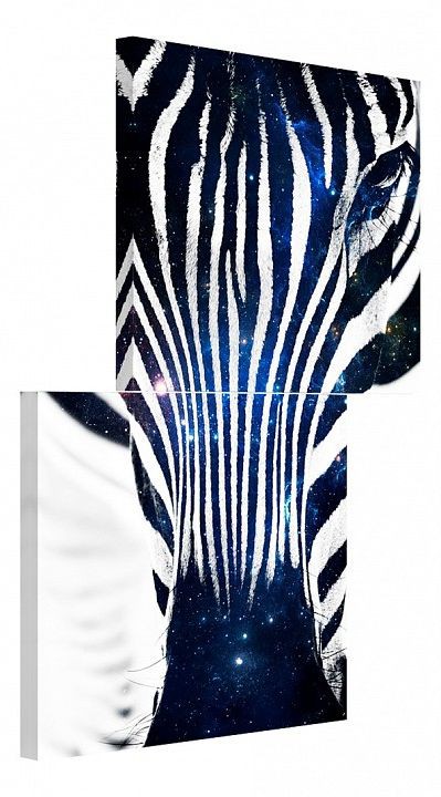  Набор из 2 панно Зебра Brilliant Y-3002H (50 x 100 см)