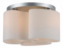 Накладной светильник ST Luce Nuvole SL545.502.03