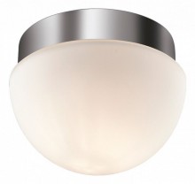 Накладной светильник Odeon Light Minkar 2443/1A