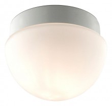 Накладной светильник Odeon Light Minkar 2443/1B