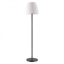 Novotech · Conte · 370602
