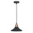 Arte Lamp · A5067 · A5067SP-1BK