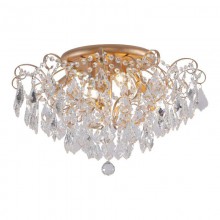 Favourite · Pluvia · 2447-6U