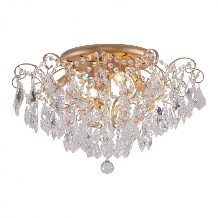  Favourite · Pluvia · 2447-6U