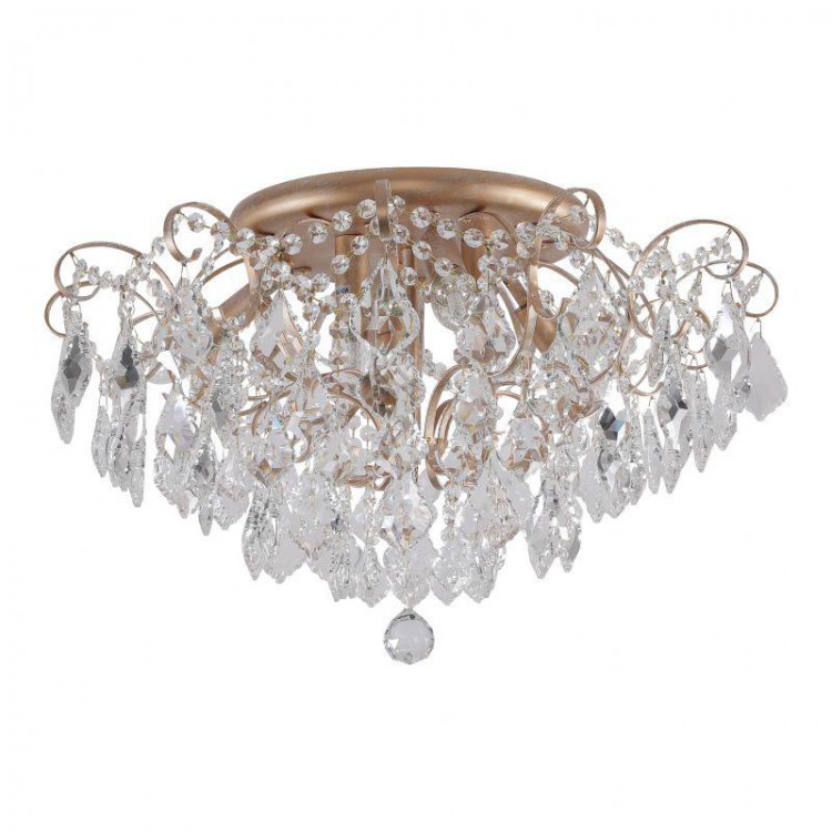  Favourite · Pluvia · 2447-6U