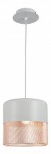 Подвесной светильник ST Luce SL976.443.01