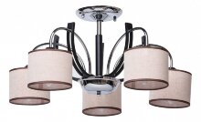 Потолочная люстра MW-Light Николь 2 364013705