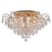 Favourite · Pluvia · 2447-9U