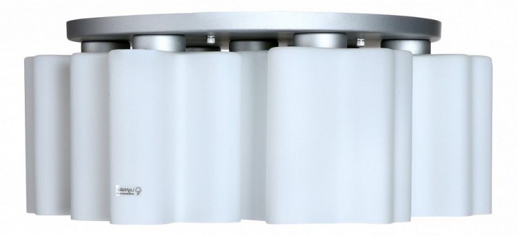 Lightstar · Nubi · 802070