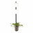 Odeon Light · Flower · 4681/2WA