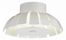 Накладной светильник ST Luce SL559.503.01
