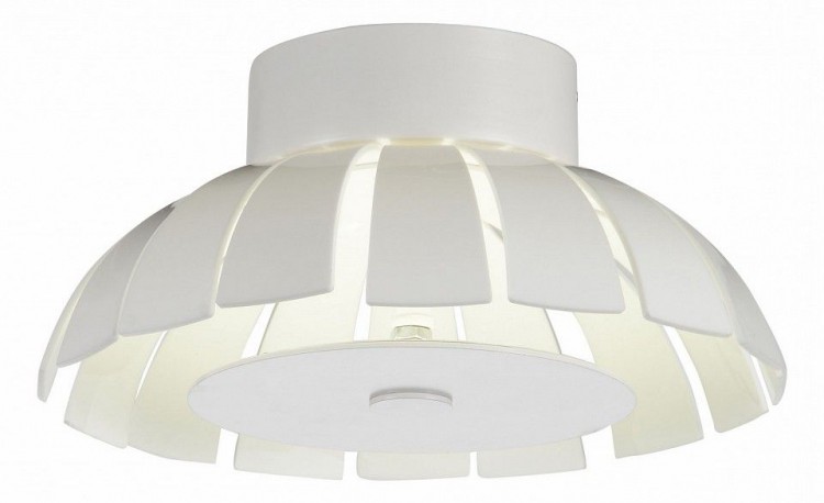  Накладной светильник ST Luce SL559.503.01
