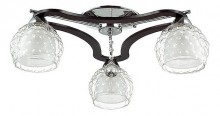 Потолочная люстра Lumion Ampolla 3081/3C