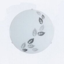 Накладной светильник Brilliant Klea 93909/70