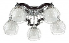 Потолочная люстра Lumion Ampolla 3081/5C