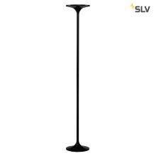 SLV · TONIA · 157010
