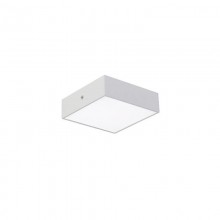 Favourite · Flashled · 2066-16C