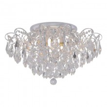 Favourite · Pluvia · 2448-6U