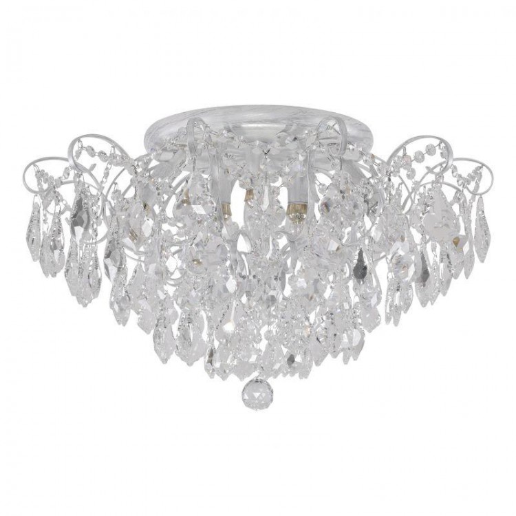  Favourite · Pluvia · 2448-6U